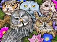 Owls Fine Art Print