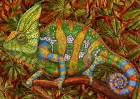 Chameleon Veiled Fine Art Print