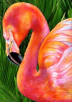 Flamingo Fine Art Print