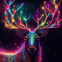 Reindeer Fine Art Print