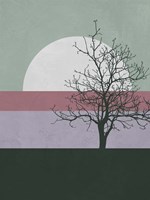 Evening Tree Fine Art Print