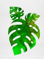 Monstera Leafs Fine Art Print