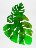 Tropical Monstera Leaves Fine Art Print