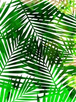 Leaf Collage Fine Art Print