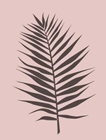 Blush Pink Tropical Leaf Fine Art Print