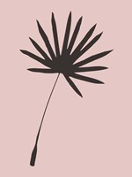 Tropical Blush Pink Leaf II Fine Art Print