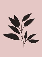 Tropical Blush Pink Leaf III Fine Art Print