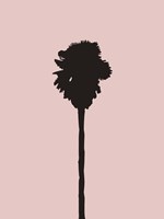 Blush Pink Palm Tree Fine Art Print