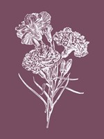 Carnations Purple Flower Fine Art Print