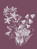 Campanulas Purple Flower Fine Art Print