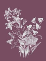 Campanulas Purple Flower Fine Art Print