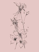 Blush Pink Flower Fine Art Print