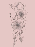 Pink Flower Sketch Illustration I Fine Art Print