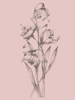Pretty Pink Flower II Fine Art Print