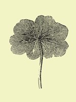 Floating Leaf II Fine Art Print