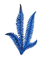 Floating Blue Plant Fine Art Print