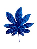 Floating Blue Leaf Fine Art Print