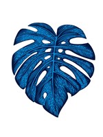 Blue Tropical Leaf Framed Print