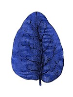 Floating Blue Leaf I Fine Art Print