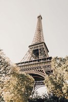 Paris Fine Art Print