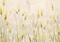 Actaea Simplex Fine Art Print