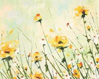 Chrysanthemum and Daisy Field Fine Art Print