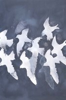 Fades Into Light Fine Art Print