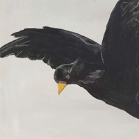 Finding Treasures Fine Art Print