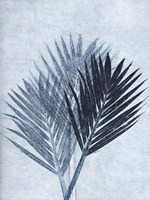 Palm 4 Blue Fine Art Print