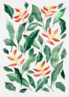 Parakeet Flower Fine Art Print