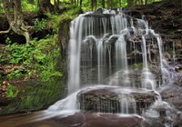 Gunn Brooks Falls Fine Art Print