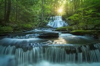 Sublime Fine Art Print