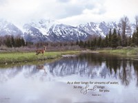 My Soul Longs for You II Fine Art Print