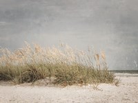Vintage Beach Grass I Fine Art Print
