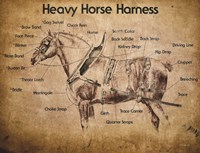 Heavy Horse Harness Fine Art Print