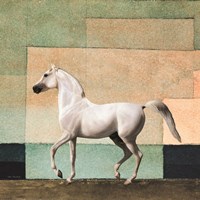 Horse in Abstract Field Fine Art Print