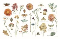 Season's Study III Fine Art Print