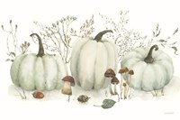 Season's Study XI Fine Art Print