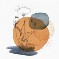 Abstract Flower Composition Fine Art Print