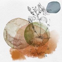 Flower and Watercolor Circles I Fine Art Print