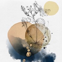 Flower and Watercolor Circles III Fine Art Print