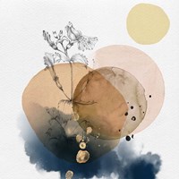 Flower and Watercolor Circles IV Fine Art Print