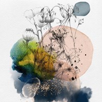 Abstract  Flower Watercolor Composition II Fine Art Print