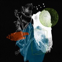 Dream of a Flower Girl IV Fine Art Print