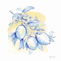 Mediterranean Breezes IV Framed Print