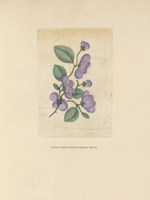 Textbook Floral Pastel Fine Art Print