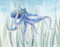 Undersea Octopus Seaweed Fine Art Print