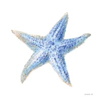 Undersea Starfish Framed Print