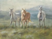 Rangeland Horses Fine Art Print