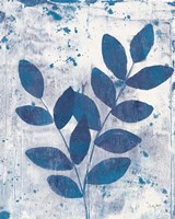 Leaves of Blue II Framed Print